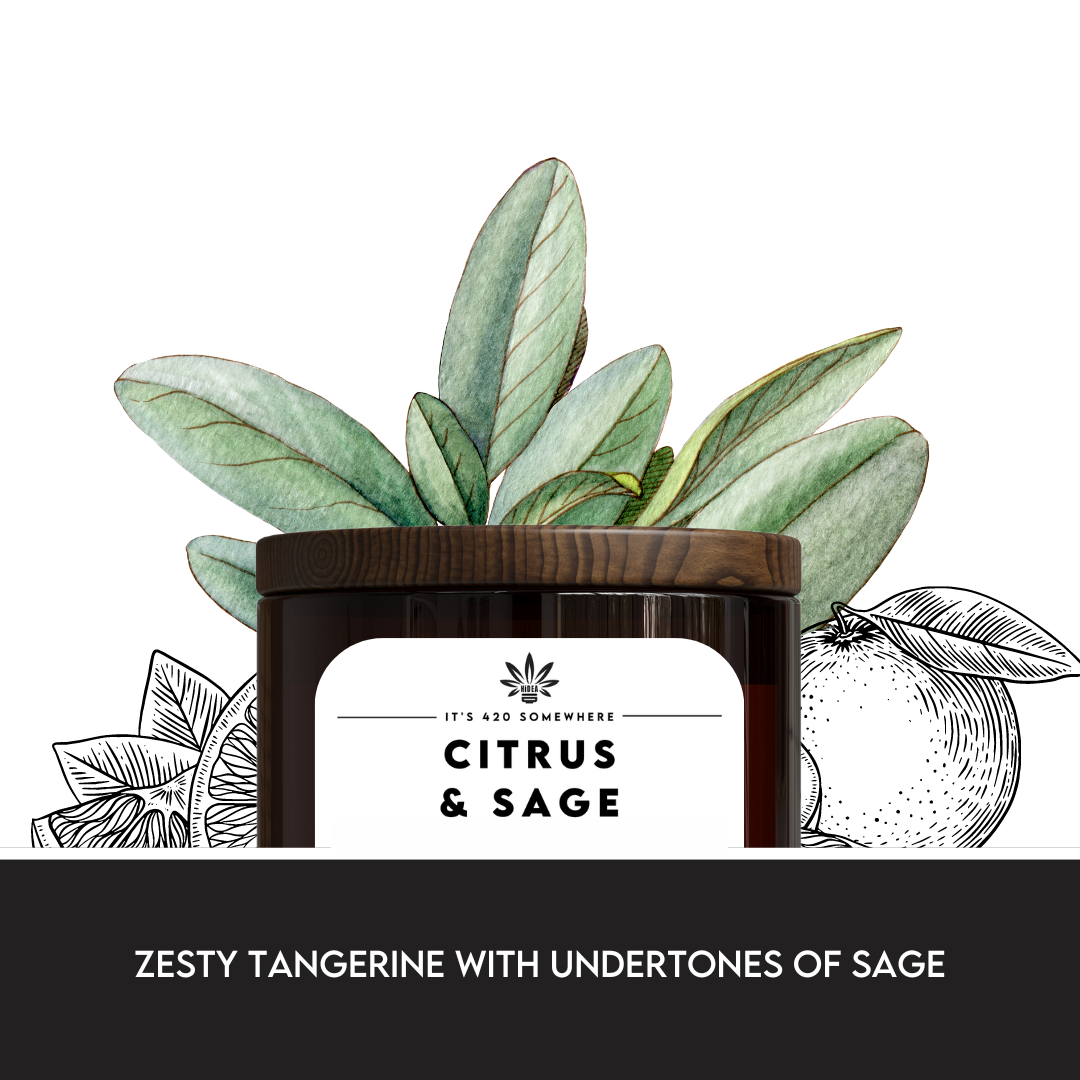 Citrus & Sage Orange Zest - Bergamot | Sage | Red Cedar