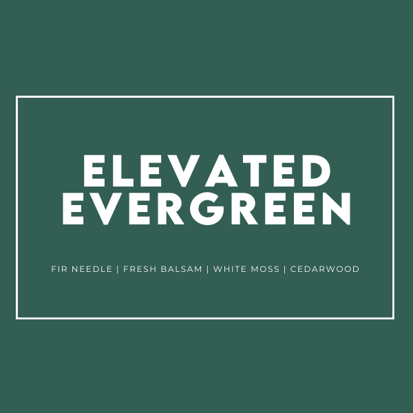 Elevated Eveergreen| Luxury Soy Candle by HiDEA | Hand-Poured Soy Candle